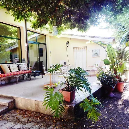 House With Secret Garden In *
